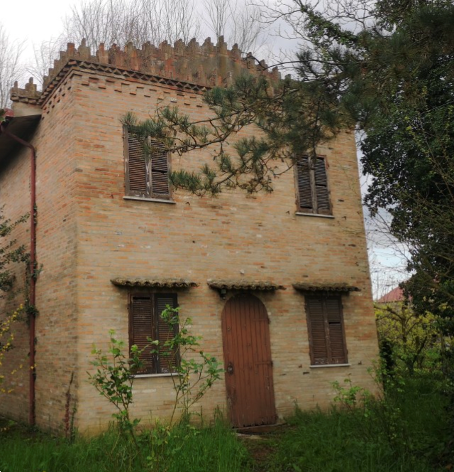 immagine annuncio 12 di 13