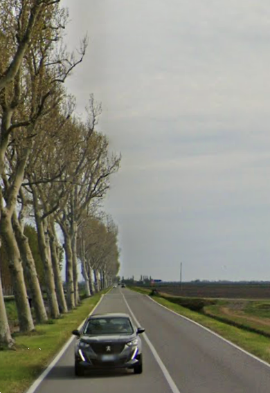 immagine annuncio 11 di 13