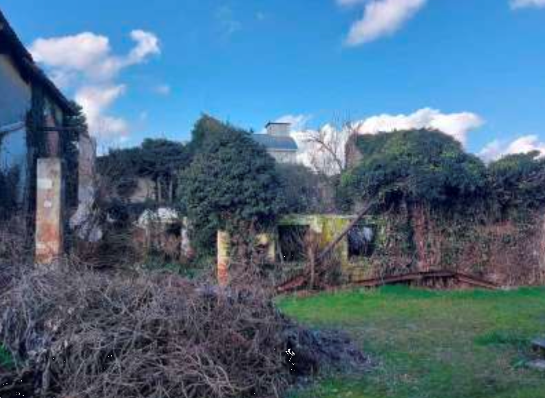 immagine annuncio 2 di 13