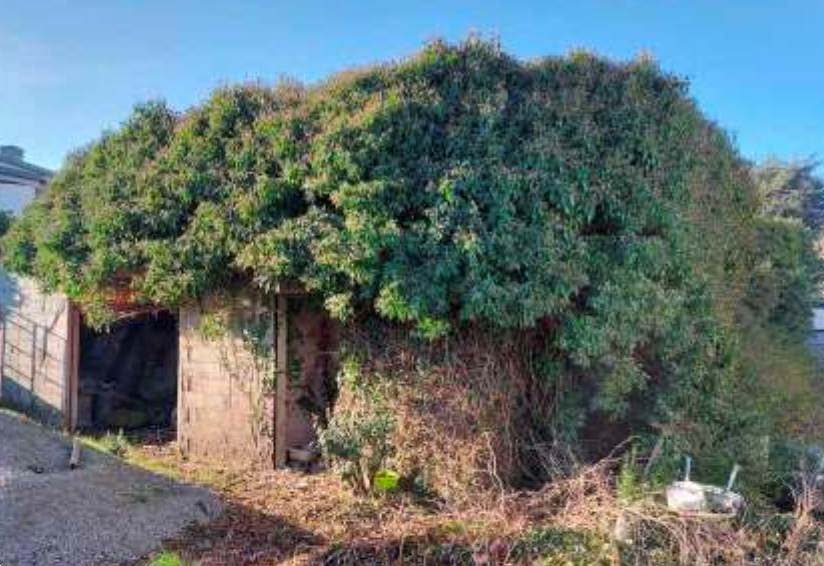 immagine annuncio 3 di 13