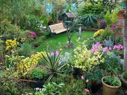 immagine annuncio 10 di 13