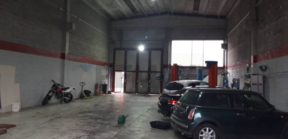 immagine annuncio 7 di 13