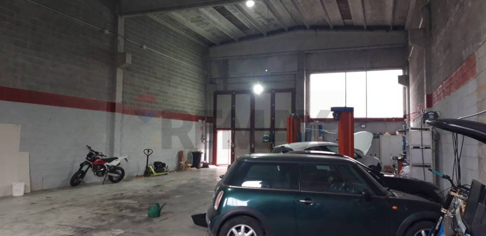 immagine annuncio 1 di 13