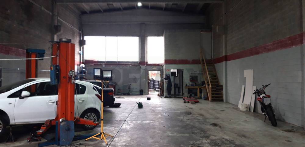 immagine annuncio 12 di 13