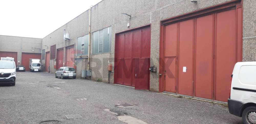 immagine annuncio 2 di 13