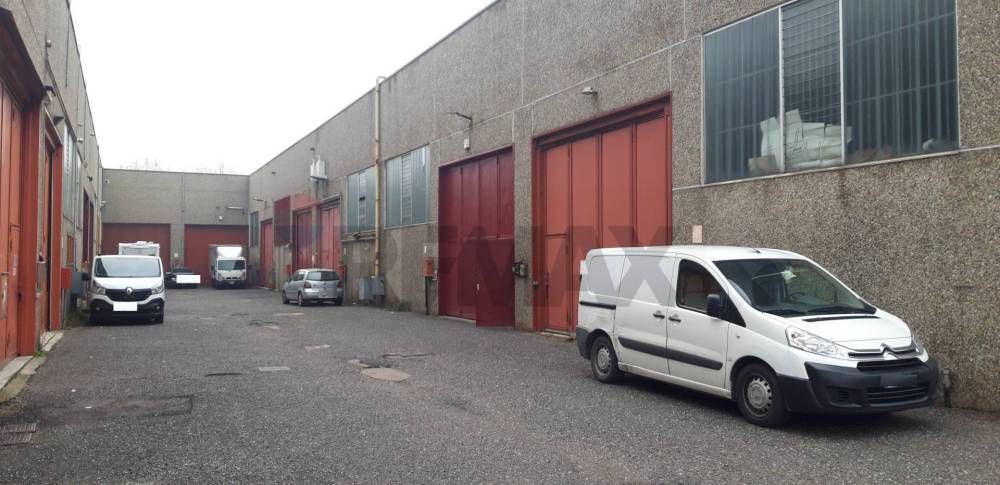 immagine annuncio 3 di 13