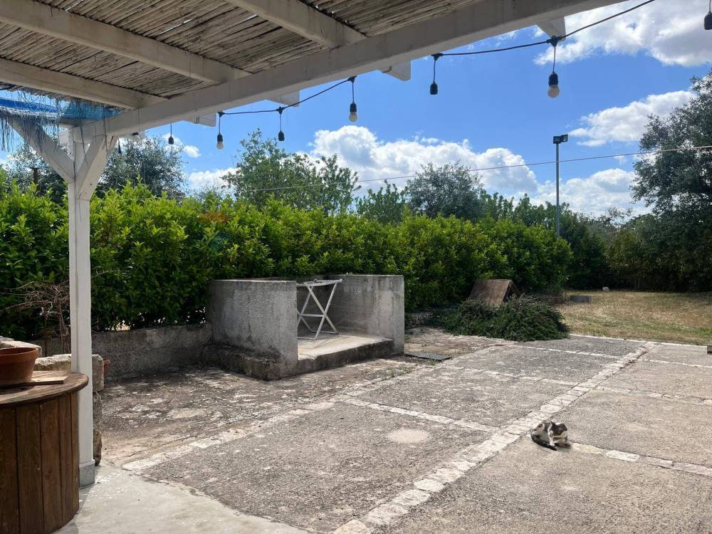 immagine annuncio 2 di 13