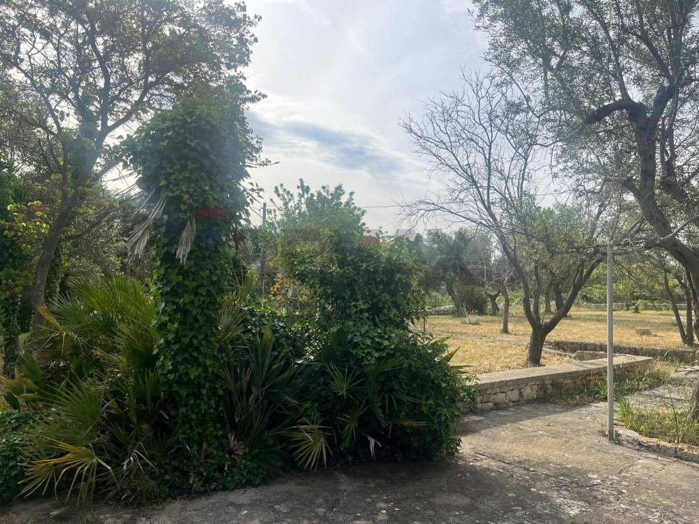 immagine annuncio 10 di 13