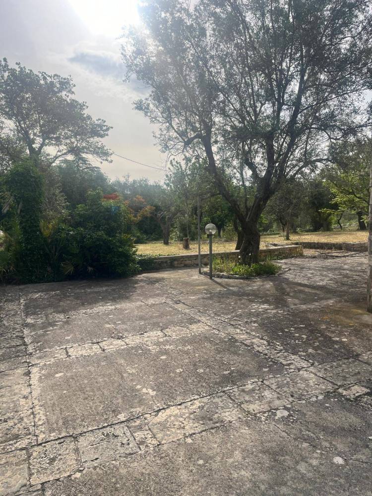 immagine annuncio 11 di 13