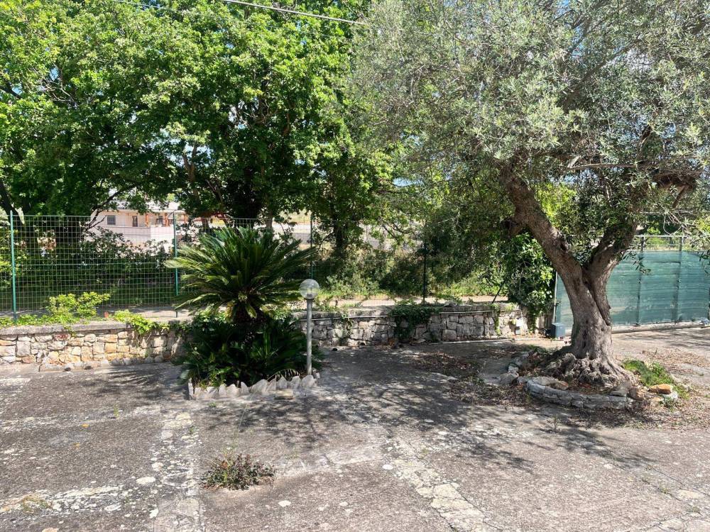 immagine annuncio 12 di 13