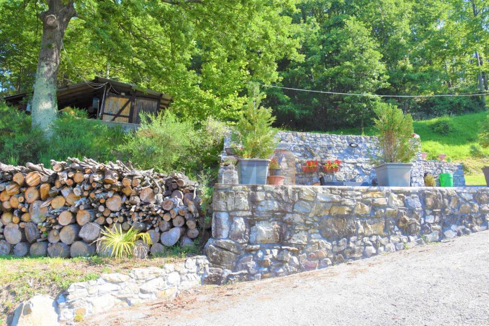 immagine annuncio 11 di 13