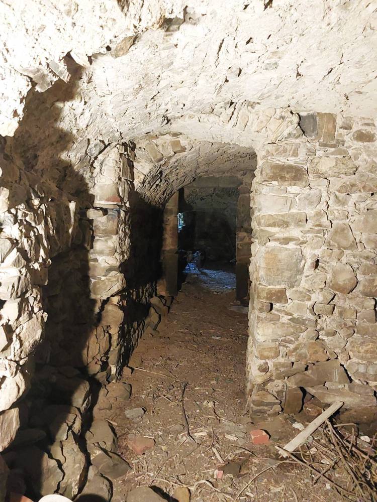 immagine annuncio 2 di 13