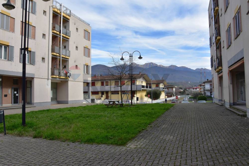 immagine annuncio 9 di 13