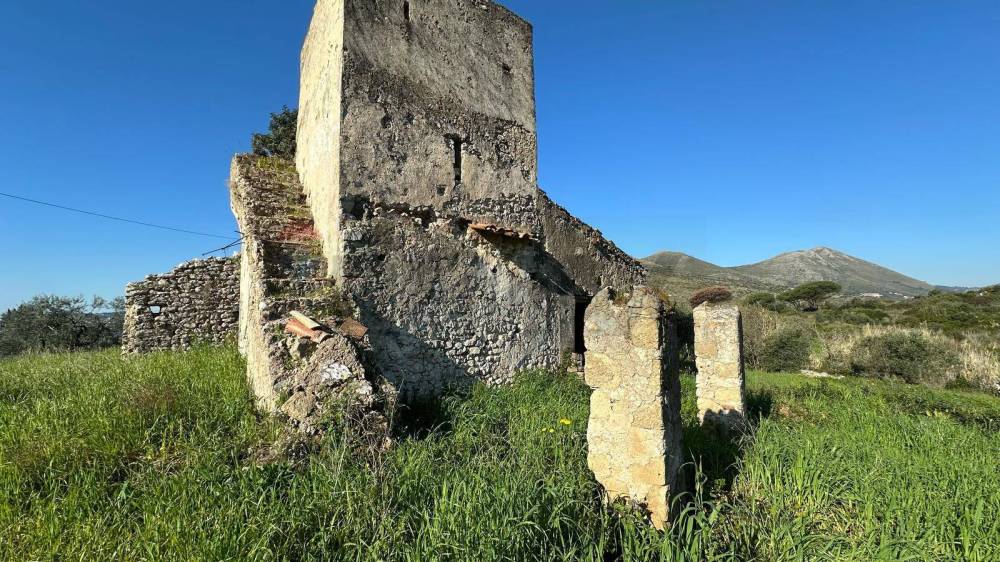 immagine annuncio 5 di 6