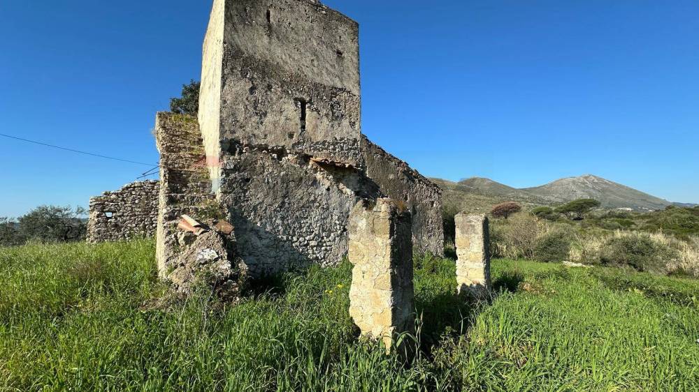 immagine annuncio 3 di 6