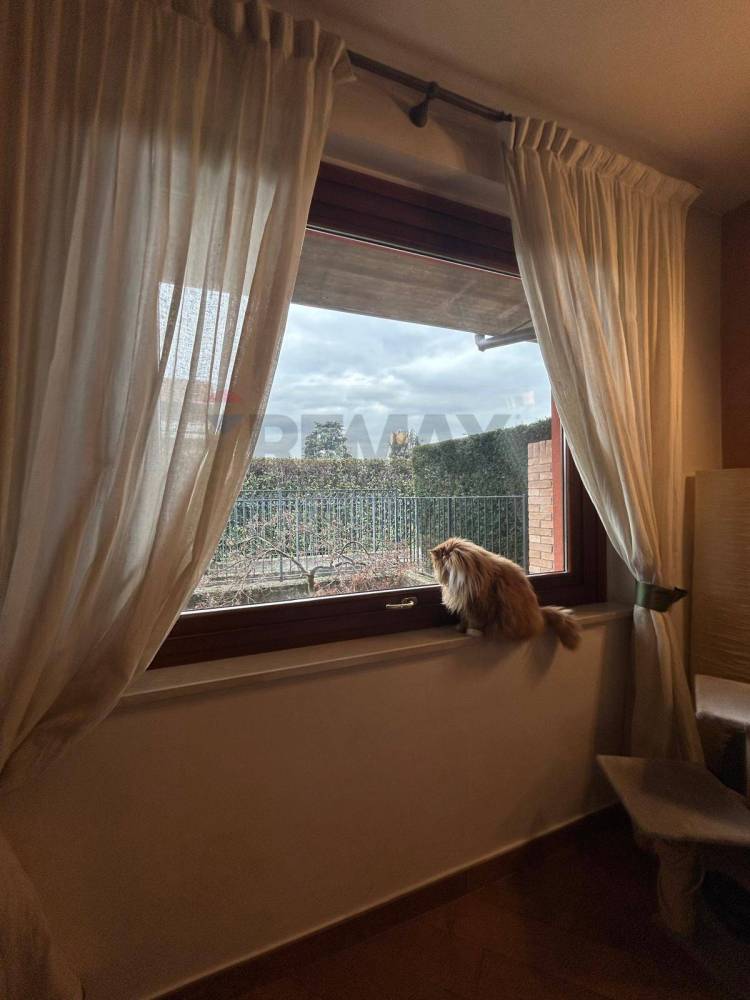 immagine annuncio 3 di 14