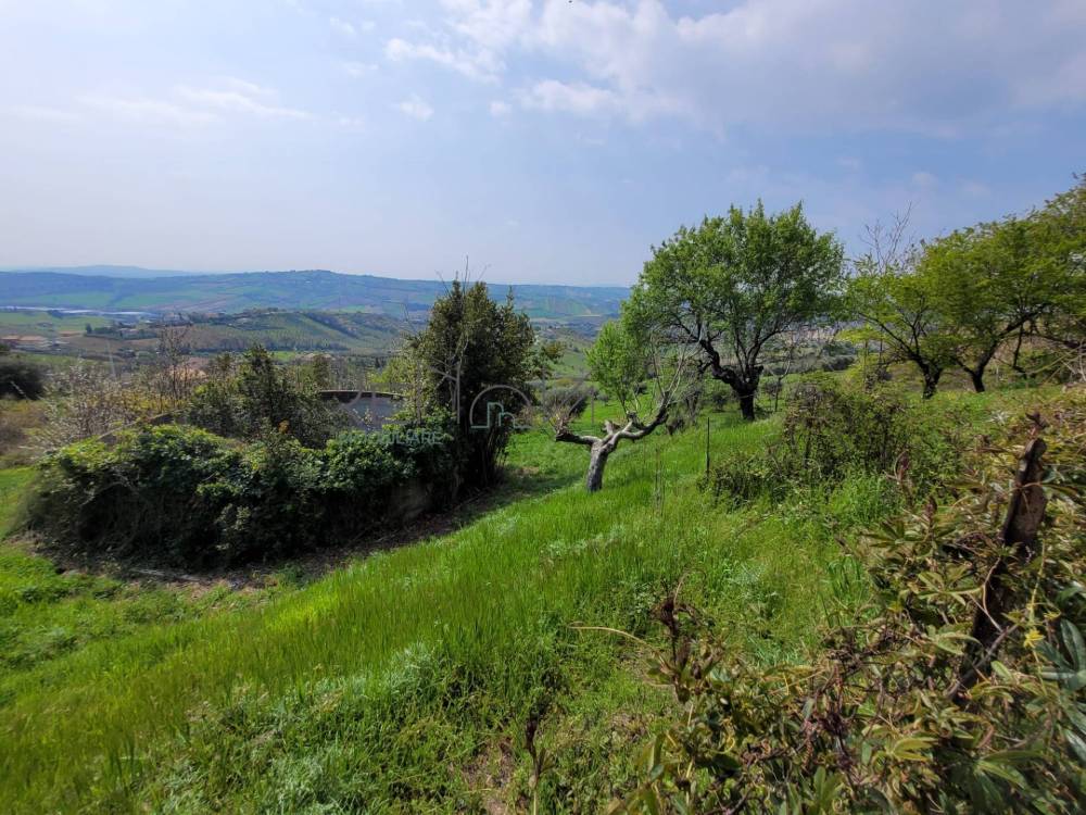 immagine annuncio 8 di 13