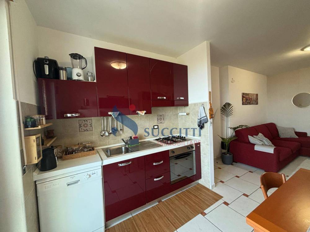 immagine annuncio 5 di 13