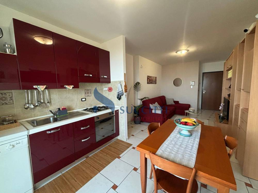 immagine annuncio 4 di 13