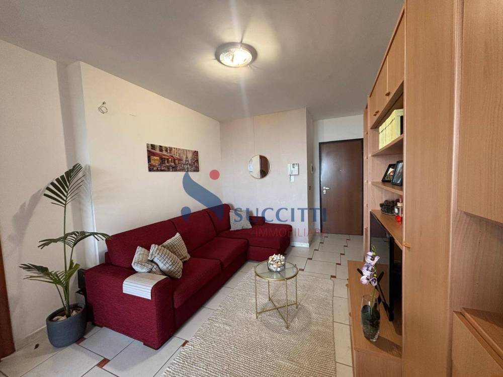 immagine annuncio 3 di 13