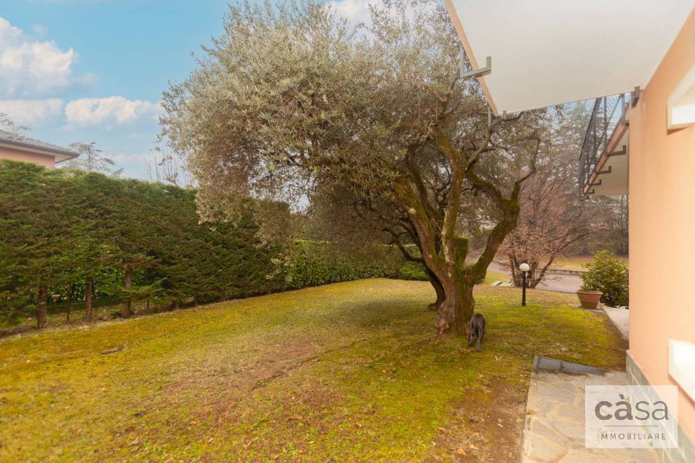 immagine annuncio 6 di 13