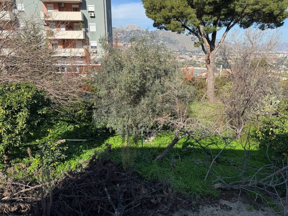 immagine annuncio 11 di 13