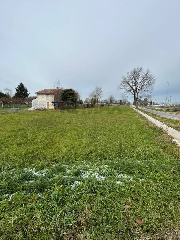 immagine annuncio 2 di 8