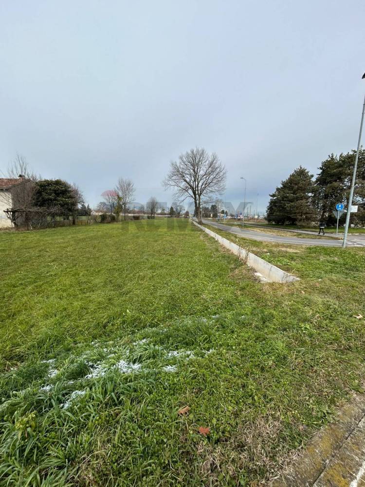 immagine annuncio 3 di 8