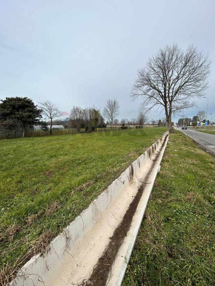 immagine annuncio 4 di 8