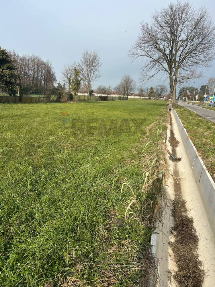 immagine annuncio 5 di 8