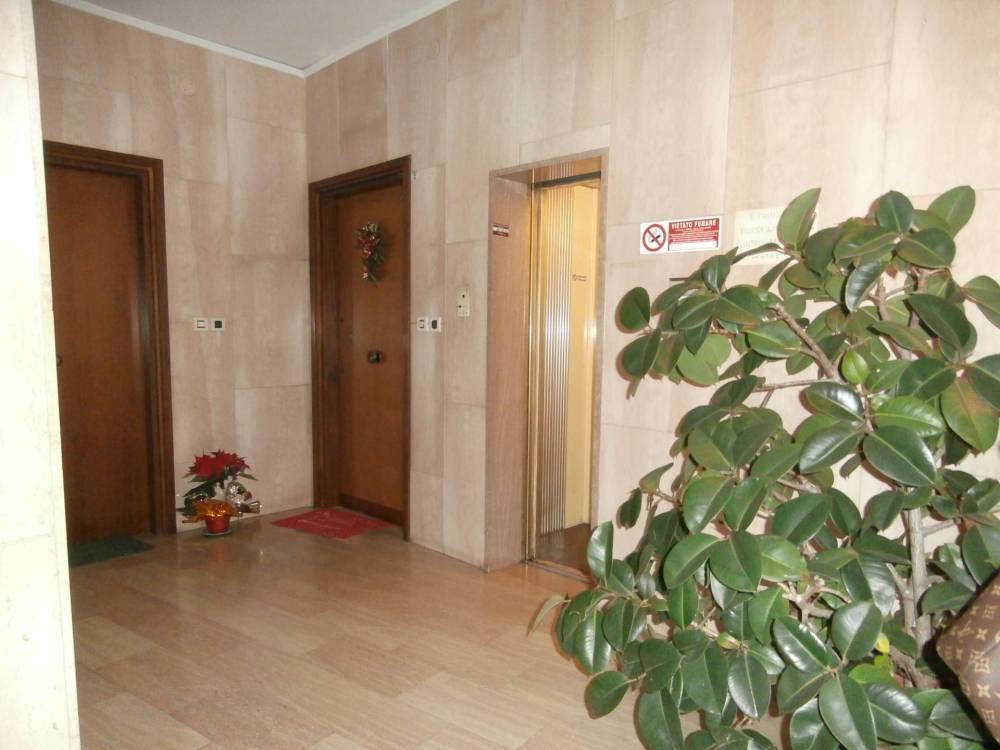 immagine annuncio 10 di 13