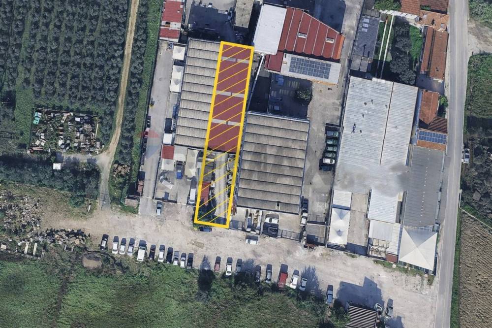 immagine annuncio 3 di 7