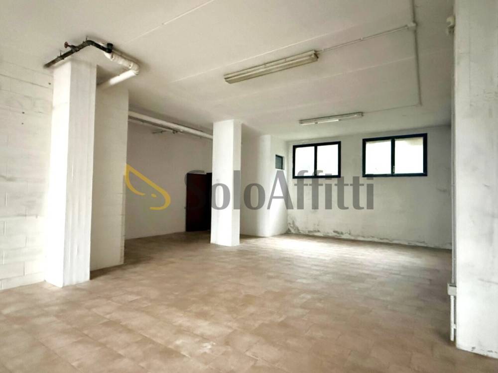 immagine annuncio 7 di 13