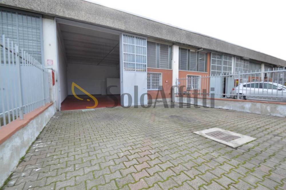 immagine annuncio 4 di 8