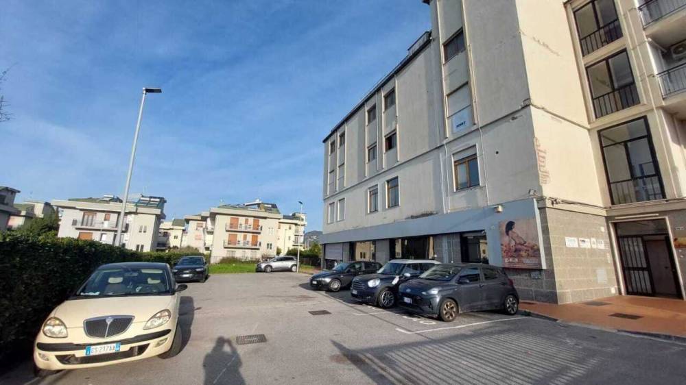 immagine annuncio 3 di 13