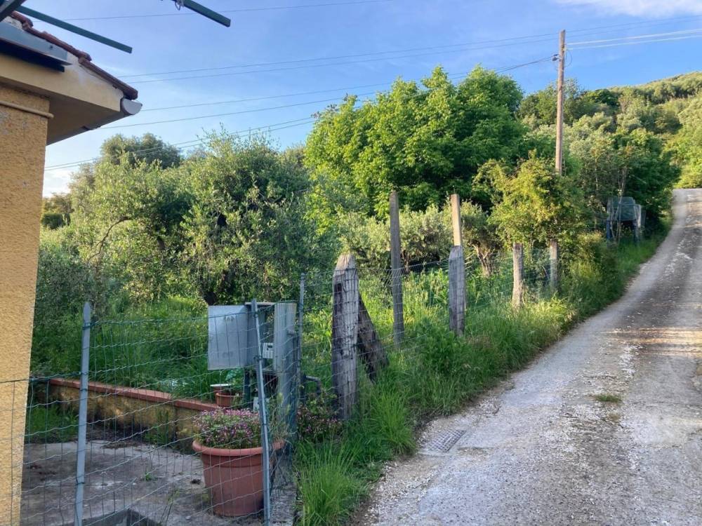 immagine annuncio 3 di 6