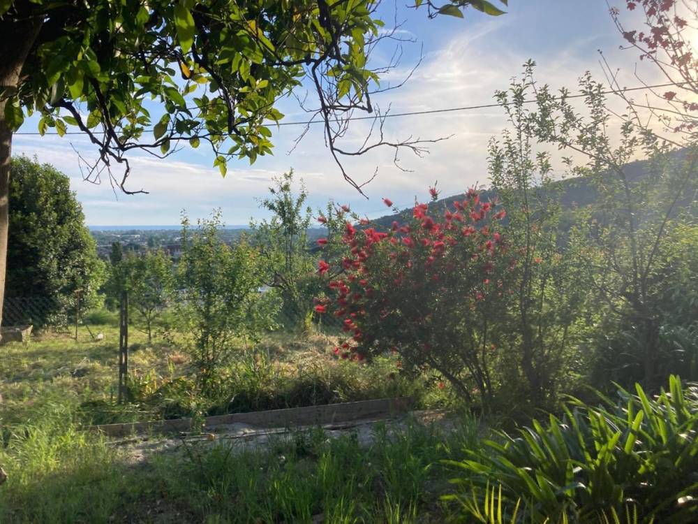 immagine annuncio 1 di 6