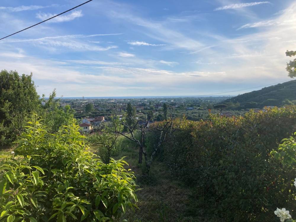 immagine annuncio 5 di 6