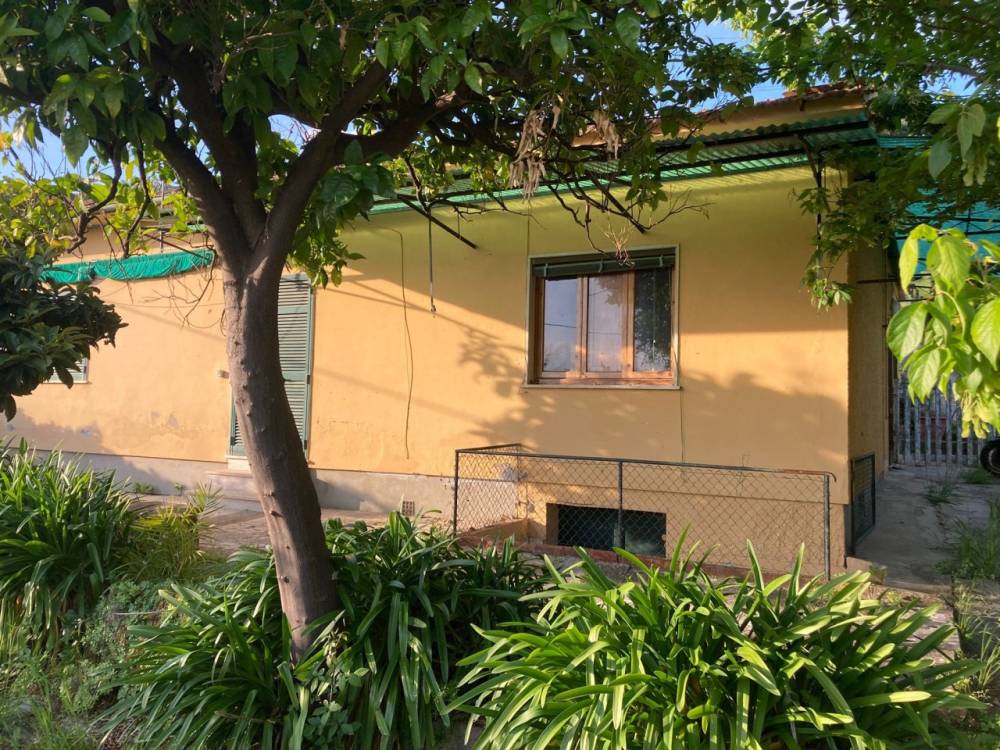 immagine annuncio 2 di 6