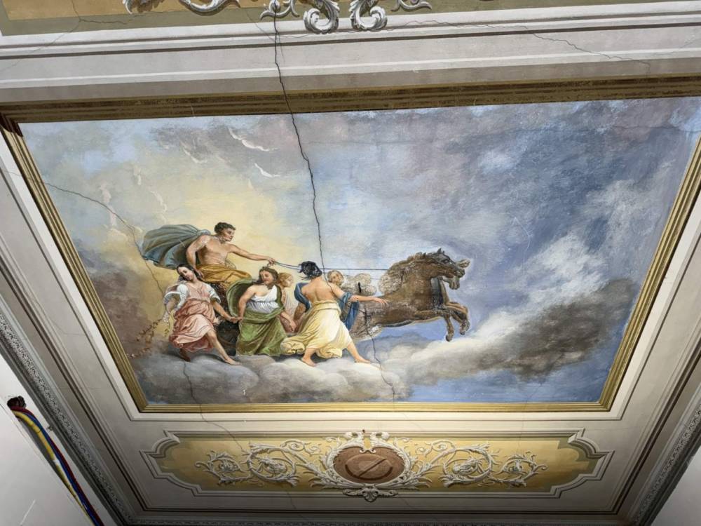 immagine annuncio 1 di 13