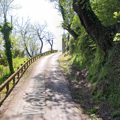 immagine annuncio 3 di 13