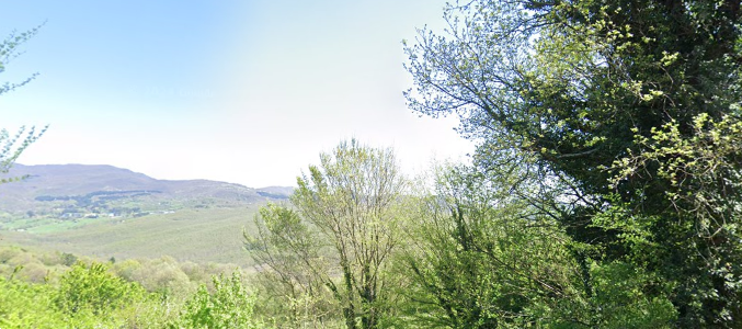 immagine annuncio 2 di 13