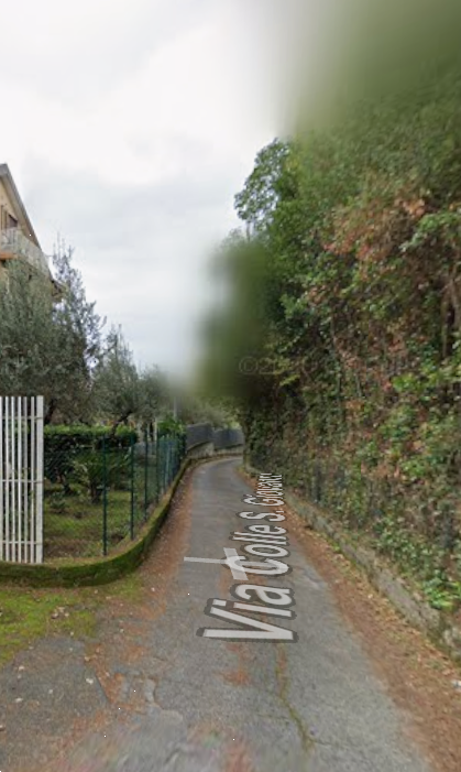 immagine annuncio 4 di 13