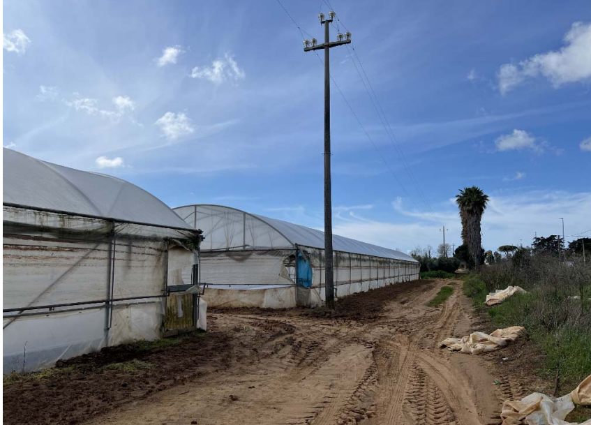 immagine annuncio 1 di 13