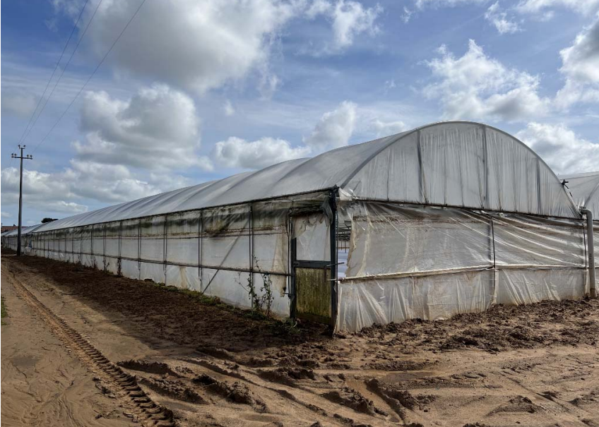 immagine annuncio 6 di 13