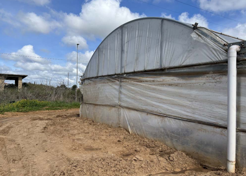 immagine annuncio 7 di 13