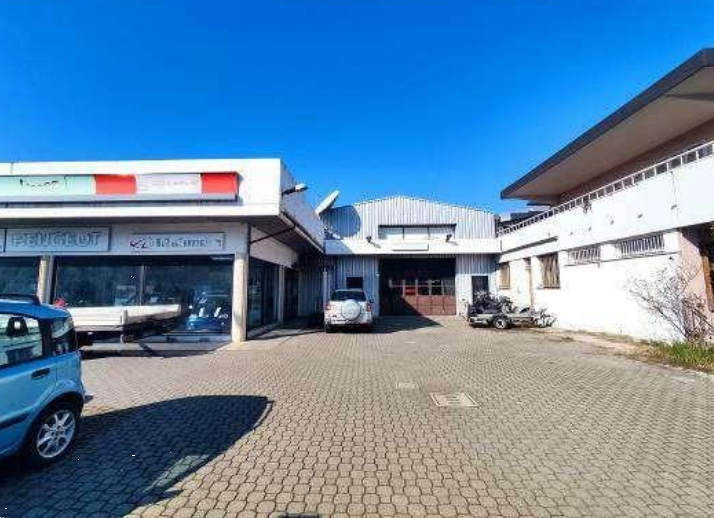 immagine annuncio 3 di 12