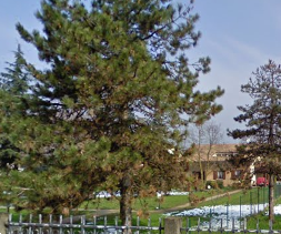 immagine annuncio 9 di 13