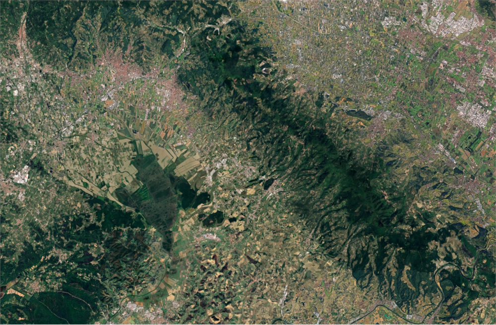 immagine annuncio 3 di 13