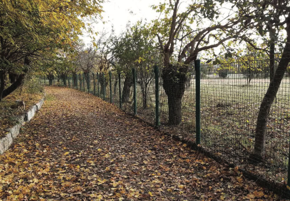 immagine annuncio 7 di 13